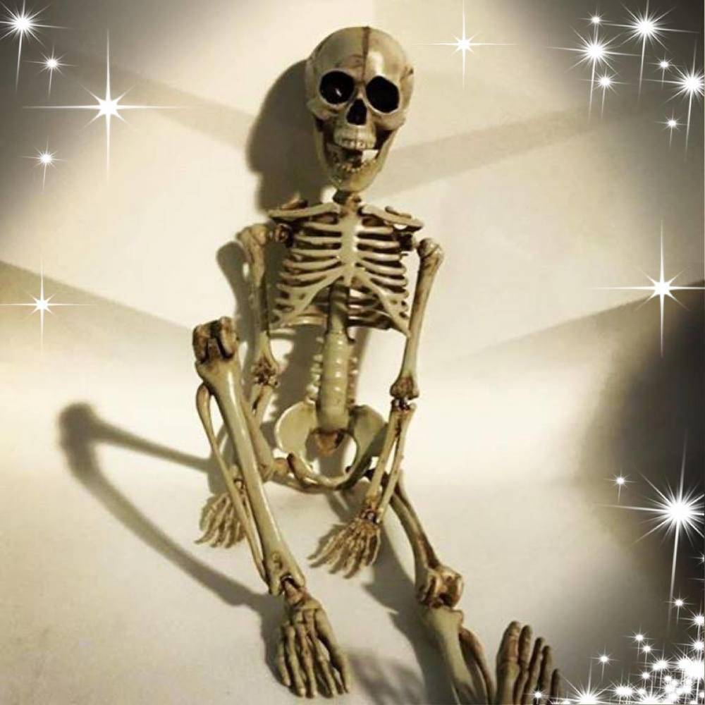 Meet your Posher, Orion
